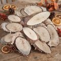 Björkträskivor ovala björkskivor 4-9cm 450g | Floristik24.se