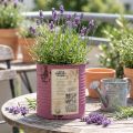 Vintage blomlåda lila metall sommardekoration Ø11cm H10,5cm | Floristik24.se
