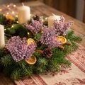 Bärplock röd, isglas 21cm 12 st | Floristik24.se