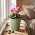 Blomkruka i zink, mintgrön, Ø15 cm, H13,5 cm | Floristik24.se