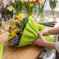 Florist crepepapper maj grönt 50x250cm | Floristik24.se