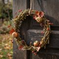 Dekorativ krans, naturlig, Ø33cm, lav, mossa, dörrkrans, borddekoration, väggdekoration | Floristik24.se