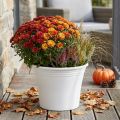 Plastkruka “Irys” vit Ø29cm H24cm 1 st | Floristik24.se