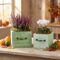 Planteringslåda trälåda ljusgrön 15x15/12x12cm set om 2 | Floristik24.se