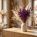 Violetta, harsvansgräs, Lagurus L20-50cm 25g | Floristik24.se