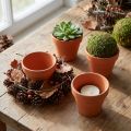 Lerkruka Ø7cm hög 6cm 10st | Floristik24.se