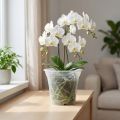 Plastkruka “Irys” transparent Ø17cm 1 st | Floristik24.se