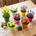 Plastkruka blomma Ø12cm 25 st | Floristik24.se