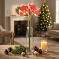 Konstgjord Amaryllis Rosa och Kräm – Stor stjälkblomma 76cm | Floristik24.se