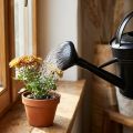 Vattenkanna dusch svart 5l | Floristik24.se