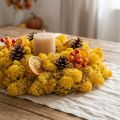 Renmossa Gul 400g | Floristik24.se