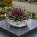 Dekorativ korg, planteringslåda, vit, rund, shabby chic, kruka, blomkorg, Ø29,5 cm | Floristik24.se