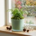 Blomkruka i glas grön plantering glasbalja Ø14,5cm H12,5cm | Floristik24.se