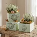 Plantlåda dekorativ låda shabby grön 15-23cm set om 3 | Floristik24.se