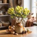 Fet Höna Grön Sedum Stengröda Konstgjorda Blommor 41cm 3st | Floristik24.se