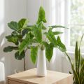 Bukett av gyllene murgröna konstgjord bindning grön 40cm | Floristik24.se