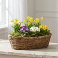 Naturlig planteringskruka av vinstockar, oval blomkruka, 40x19x11,5 cm | Floristik24.se