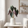 Alocasia pil bladgrön, violett konstväxt H48cm | Floristik24.se