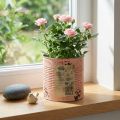 Blomkruka dekorativ burk laxfärgad metallplanter Ø15,5cm H15cm | Floristik24.se
