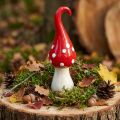 Deco Flugsvamp Keramik Deco Svamp Röd Vit Ø6,5cm H21cm | Floristik24.se