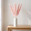 Pampas gräs dekoration, pampas gräs torkat pampas gräs rosa 72cm 6 st | Floristik24.se