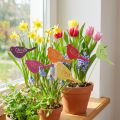 Vårdekoration blomproppar trä fågeldekoration 28cm 18 st | Floristik24.se