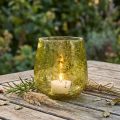Vindljus glasdekor vintage gulgrön Ø12cm H12,5cm | Floristik24.se