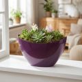 Plantbåt dekorativ skål lila 20×9cm H12cm | Floristik24.se