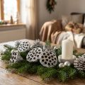Lotos Naturlig Dekorativ Lotusflaska Vitkalkad 6-8cm 50 st | Floristik24.se