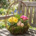 Trådkorg, metallplanter, vårdekoration, påskkorg, brun, rostfri yta, H34cm L30cm | Floristik24.se