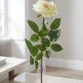 Konstgjord ros, dekorativ ros, sidenblomma krämvit, grön L72cm Ø12cm | Floristik24.se