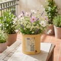 Dekorativ plåt, aprikos, metallkruka, sommardekoration, Ø15,5 cm H15 cm | Floristik24.se