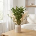 Kaninsvansgräs (Lagurus) Torkad Dekorativ Grön 50-60cm 50g Torkade Blommor | Floristik24.se