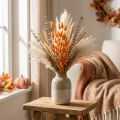 Lagurus Torkad Kaninsvansgräs Aprikos Dekorativa Torkade Blommor 55-60cm 50g | Floristik24.se