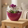 Plantbåt dekorativ skål skål Bär 20×9cm H12cm | Floristik24.se