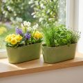 Växtskål oval grön skål plast 27×11×10cm 3st | Floristik24.se