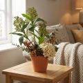 Konstgjorda gröna Skimmia japonica-blommor, 45 cm, 2 st | Floristik24.se