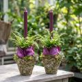 Kruka rustik skogsliknande Ø12,5 cm H12 cm 2 st | Floristik24.se