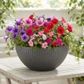 Växtskål plast antracit Ø35cm H16,5cm | Floristik24.se