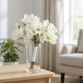 Magnolia gäng vit 40cm 5 st | Floristik24.se