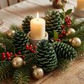 Maritima kottar 10cm - 16cm grön frostad 12 st | Floristik24.se