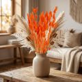 Torkad blomdekoration av orange harsvansgräs 50-60 cm 50 g - Sammetslen Lagurus för bordsdekoration och pyssel | Floristik24.se
