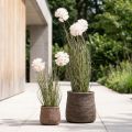 Konstgjorda blommor dekorativ bollblomma allium prydnadslök konstgjord 54cm | Floristik24.se