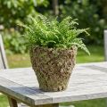 Kruka rustik mossliknande Ø17cm H16,5cm | Floristik24.se