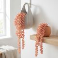 Sedum 'Rubin' hängande växt – dekorativ, lättskött suckulent 43 cm 3 st. | Floristik24.se