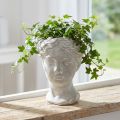 Plantkruka damhuvud dekorativ planteringskruka vittvättad 15×16×21cm | Floristik24.se