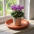 "Linda" fat Ø18cm terrakotta | Floristik24.se