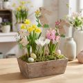 Blompluggskanin av trä 9cm 12 st | Floristik24.se