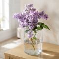 Glasvas klar cylindrisk Ø12cm H20cm | Floristik24.se