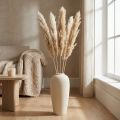 Torr dekoration pampas gräs torkat blekt 70-75cm 6 st | Floristik24.se